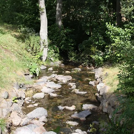 Apartamento Ferienwohnung Am Itterbach Willingen (Upland)